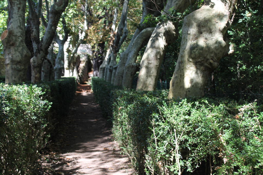 L'Ecrin D'Osely Bed and Breakfast Lodève Εξωτερικό φωτογραφία