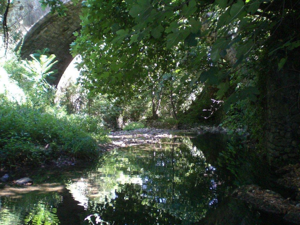 L'Ecrin D'Osely Bed and Breakfast Lodève Εξωτερικό φωτογραφία