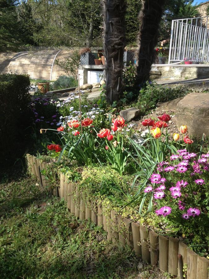L'Ecrin D'Osely Bed and Breakfast Lodève Εξωτερικό φωτογραφία