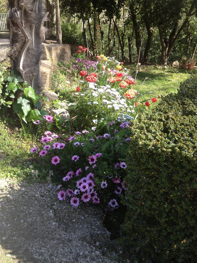 L'Ecrin D'Osely Bed and Breakfast Lodève Εξωτερικό φωτογραφία